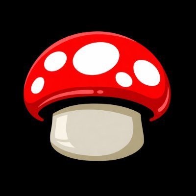 play.fun logo